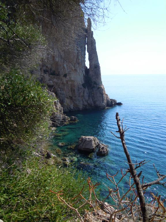 Appartamenti Da Vincenza Санта-Мария-Наварезе Экстерьер фото