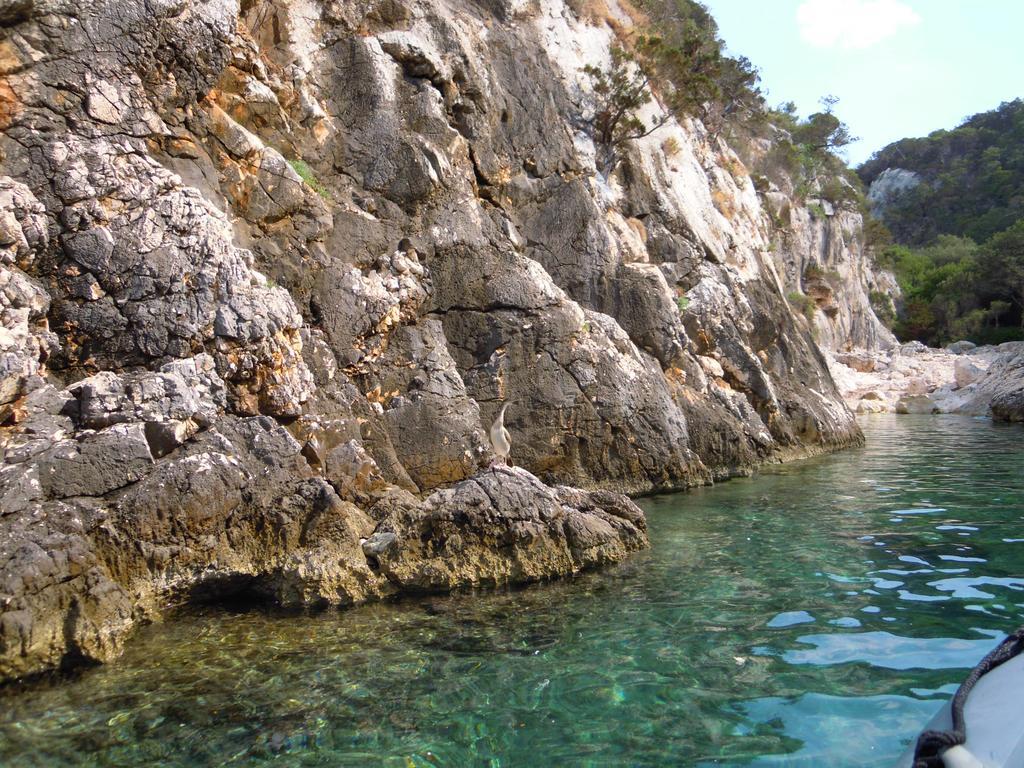 Appartamenti Da Vincenza Санта-Мария-Наварезе Экстерьер фото